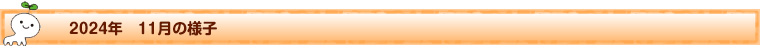 2024年11月の様子